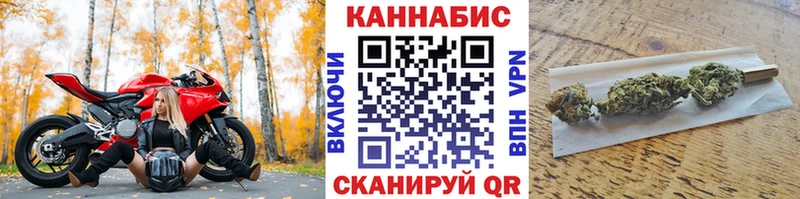 Конопля сатива  Кукмор 